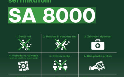 Umka Cardboard Mill Becomes the First Company in Serbia to Receive SA 8000 Certification